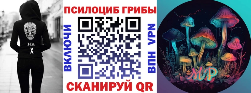 где купить наркоту  Ногинск  Псилоцибиновые грибы мухоморы 